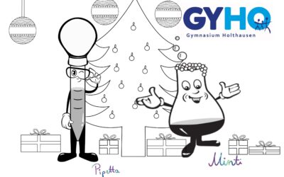 Frohe Weihnachten wünscht das MINT-Team!