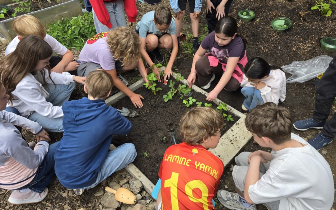 Biologieunterricht im Schulgarten